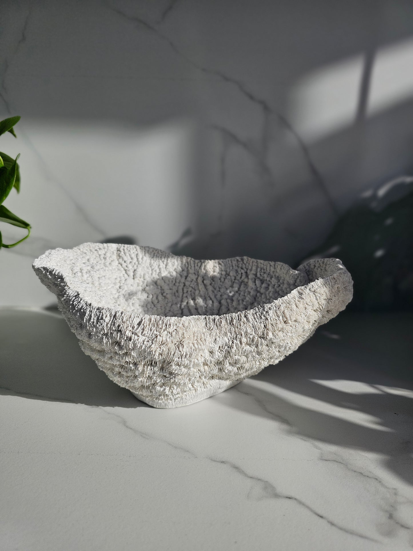 Coral Bowl | Sculptural Decorative Bowl | Neutral Textured Home Decor | Modern Coastal Styling