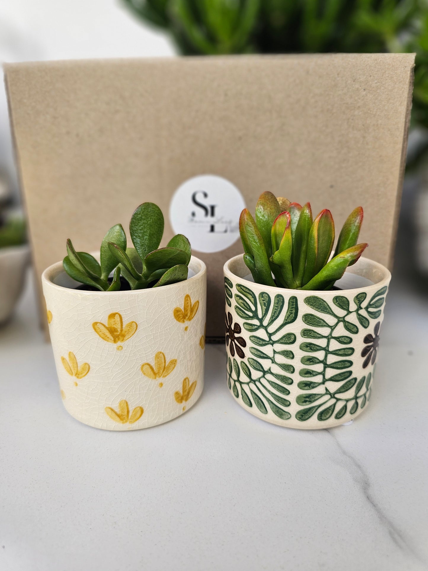 Succulent Gift Set Box | Green and Yellow Ceramic Pots & Hand Care Gift
