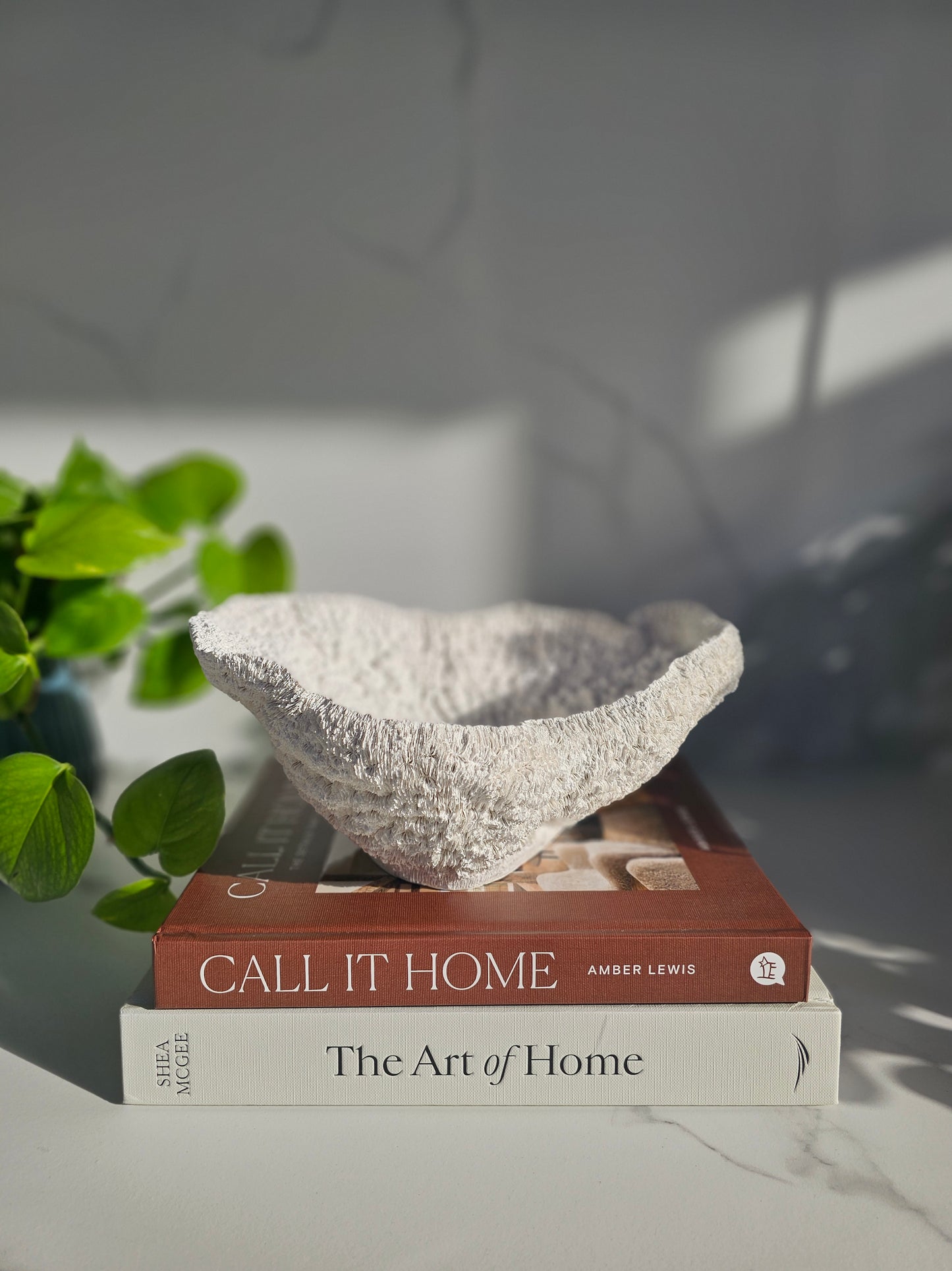 Coral Bowl | Sculptural Decorative Bowl | Neutral Textured Home Decor | Modern Coastal Styling